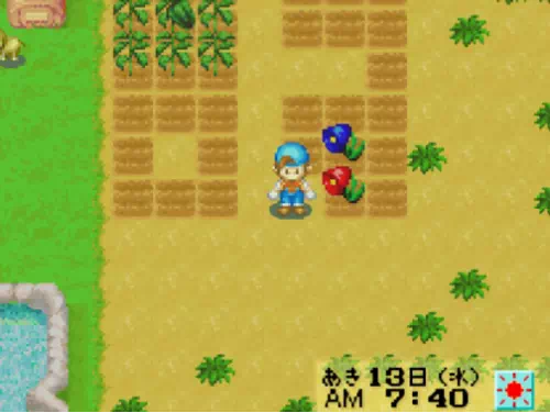 赤いマジックレッド草と青いマジックレッド草